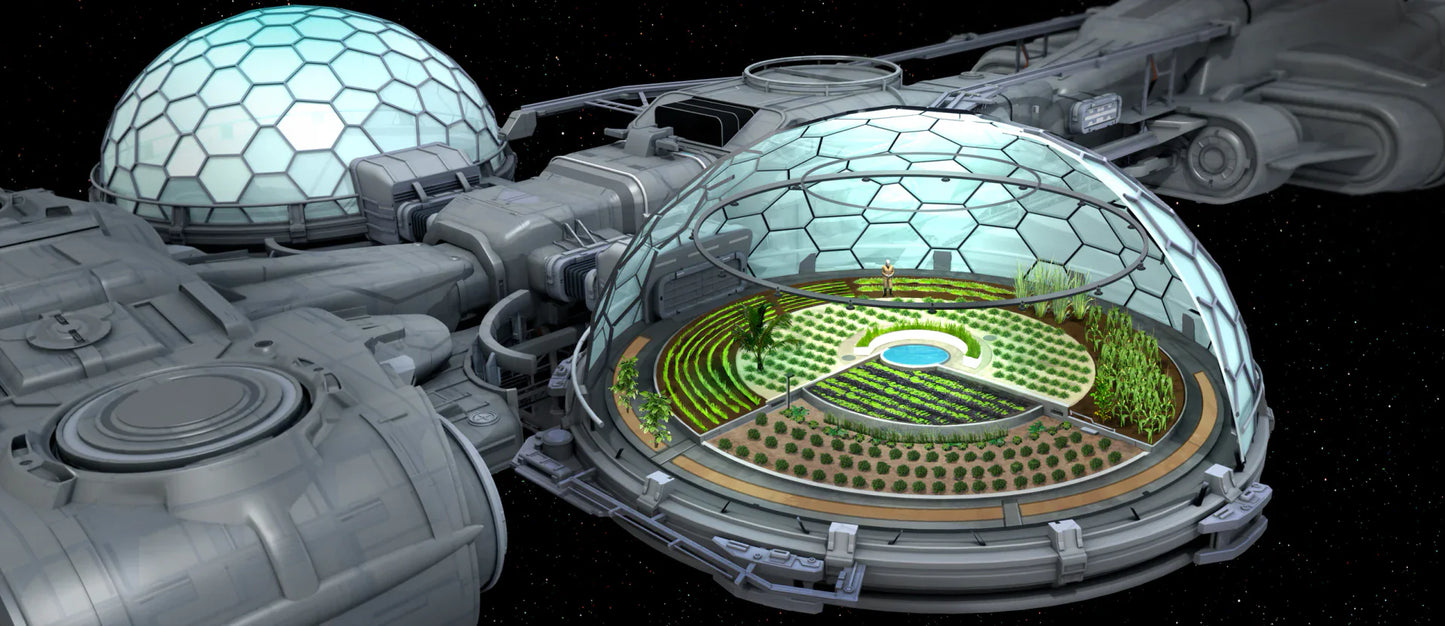 Endeavor - Standalone Ship