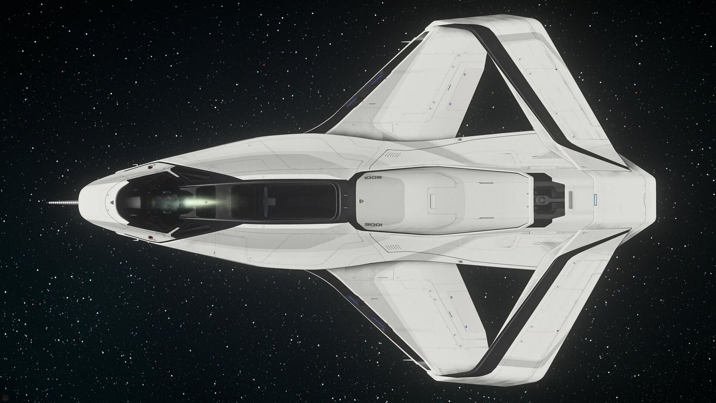 300i - Standalone Ship