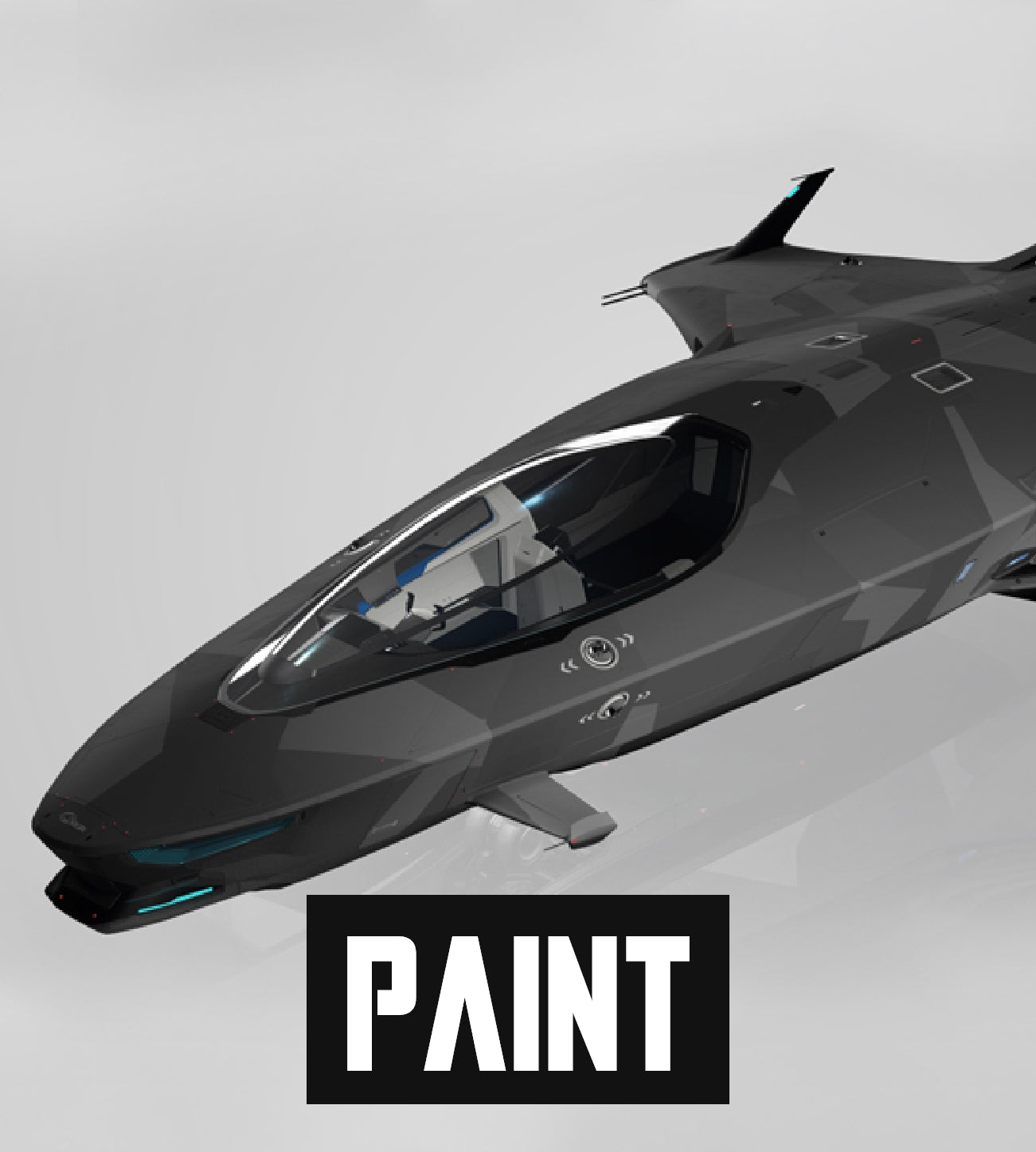 100 series - Slate Camo Paint