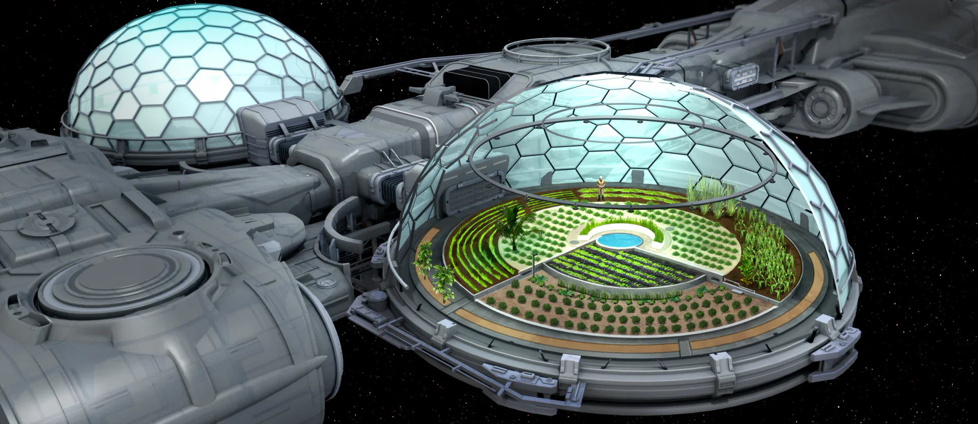 Endeavor - Standalone Ship