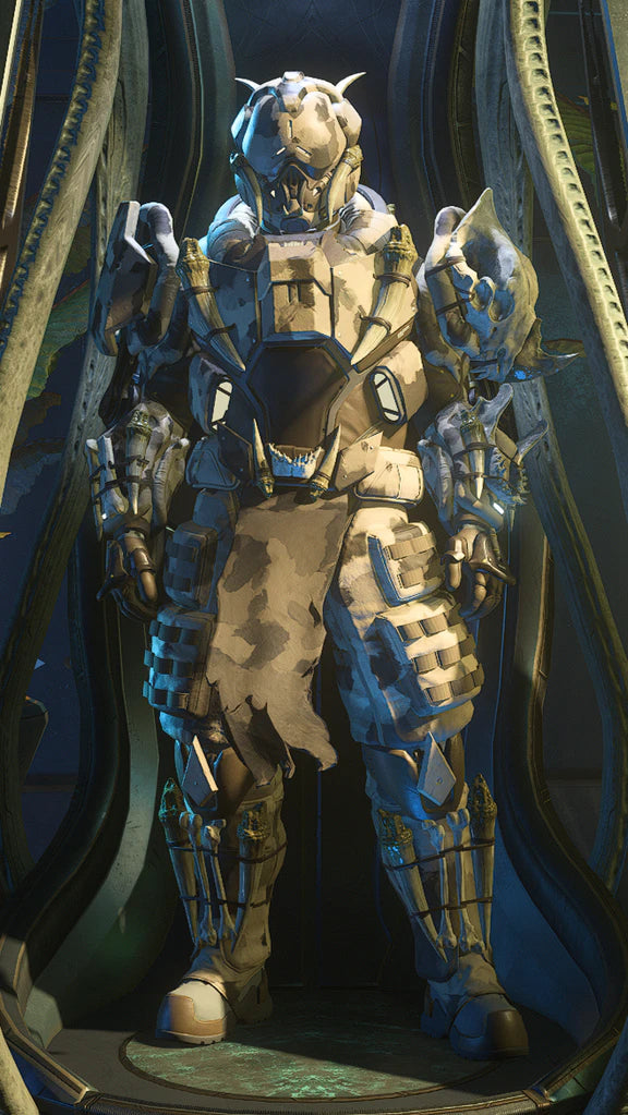 Armor with Horn and String