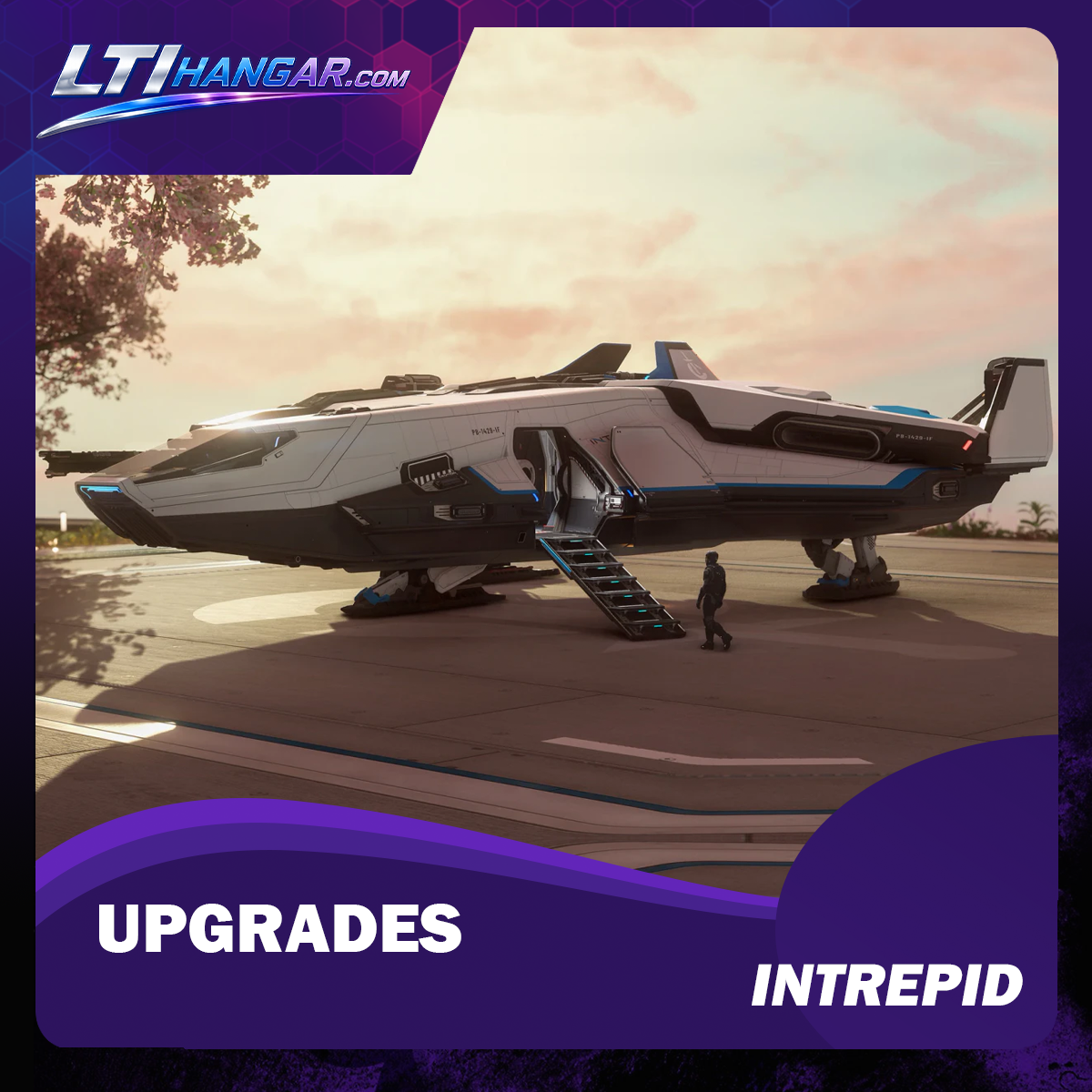 Upgrade to Intrepid