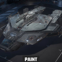 Paladin - Downstream Paint