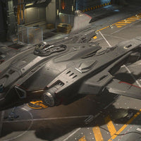 Vanguard Warden  - Standalone Ship