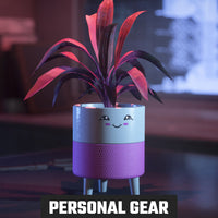 Hello Sunshine Cheeky Planter