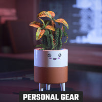 Hello Sunshine Happy Planter