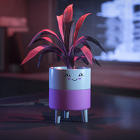 Hello Sunshine Cheeky Planter