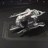 Fury - Templar Paint