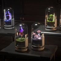 Hab Plant Set