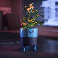 Hello Sunshine Surprised Planter