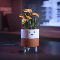 Hello Sunshine Happy Planter